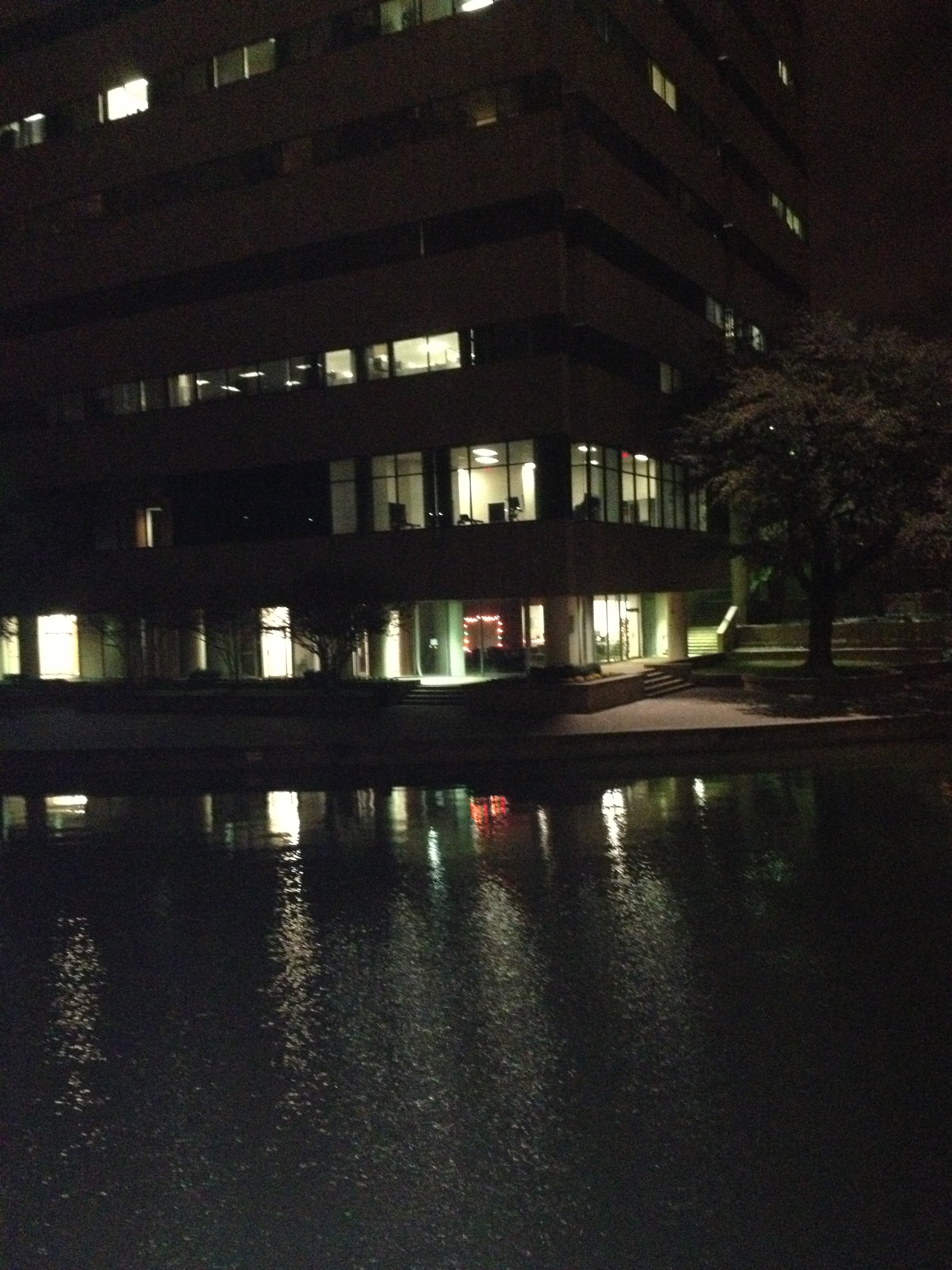 Cultural fit a requirement